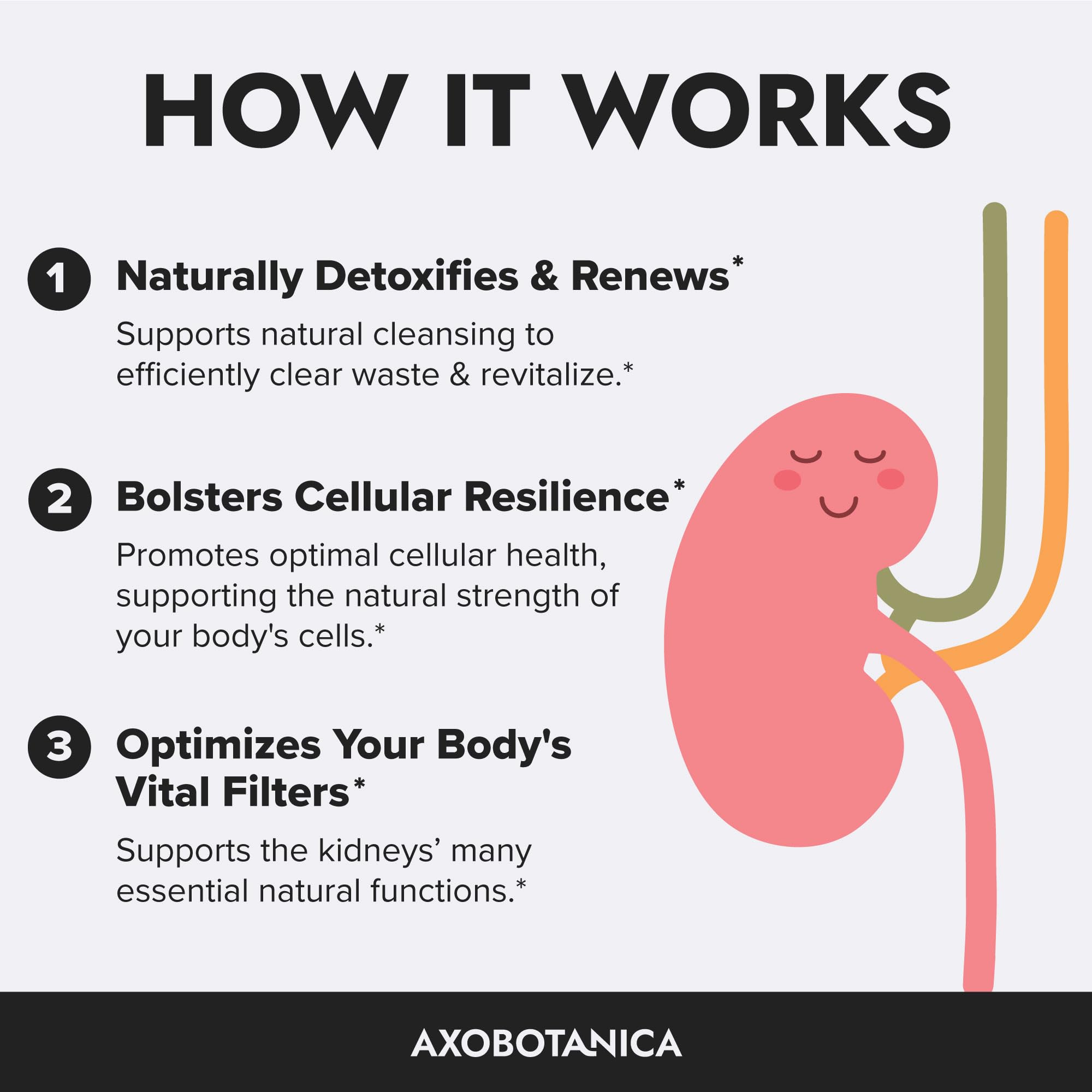 Axobotanica vitamine-b6 et soie-de-maïs: extraits végétaux pour la vessie.