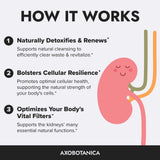 Axobotanica vitamine-b6 et soie-de-maïs: extraits végétaux pour la vessie.