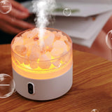 AYNEFY brume aromathérapie diffuseur, rafraîchit l'air au quotidien.