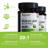 Étui pratique et 60 jours de capsules Ayorish pour votre routine.