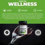 Formulation végétale Ayorish sans OGM et sans additifs nocifs.