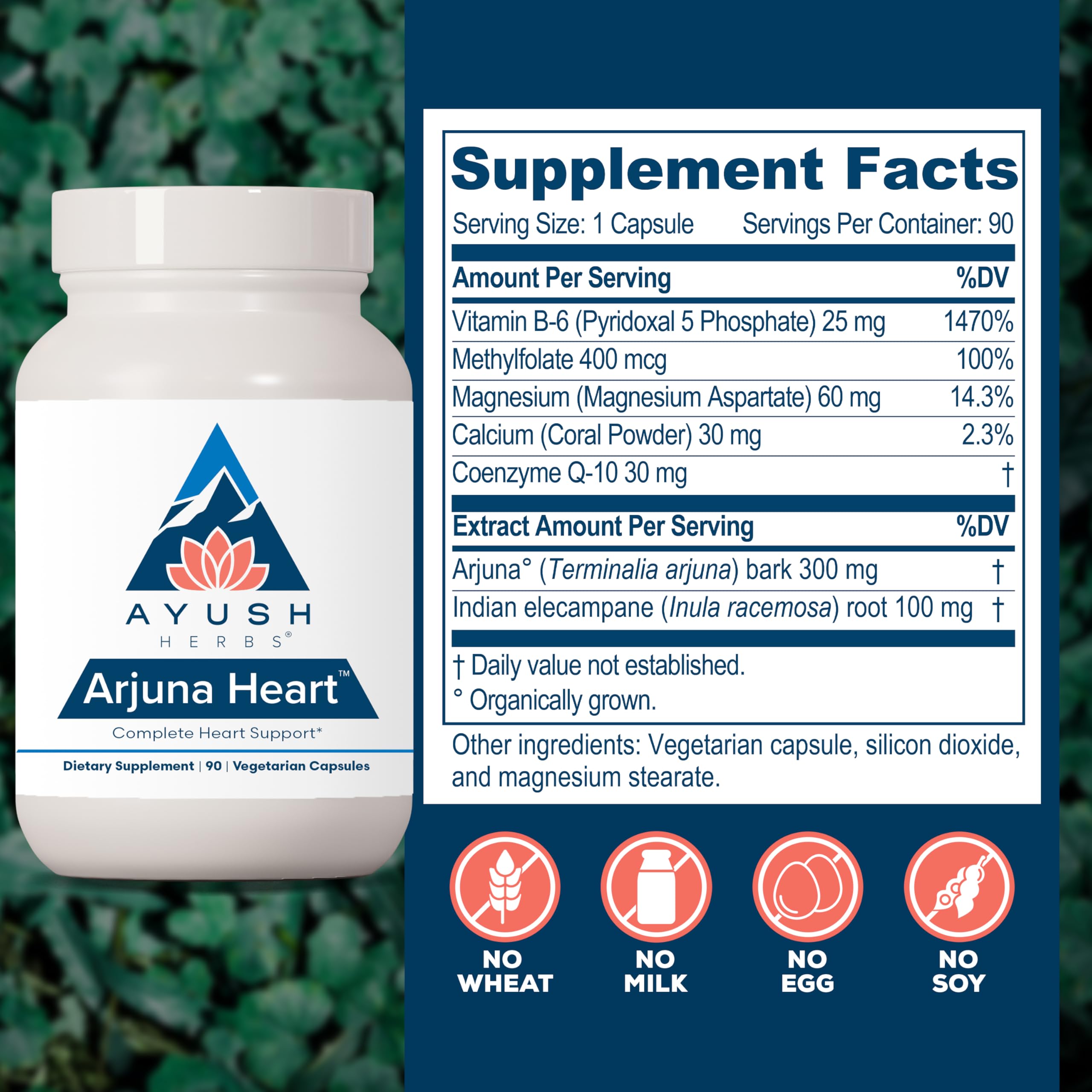 Ayush Herbs Arjuna Heart: etiquette-produit, informations claires pour choisir votre routine.
