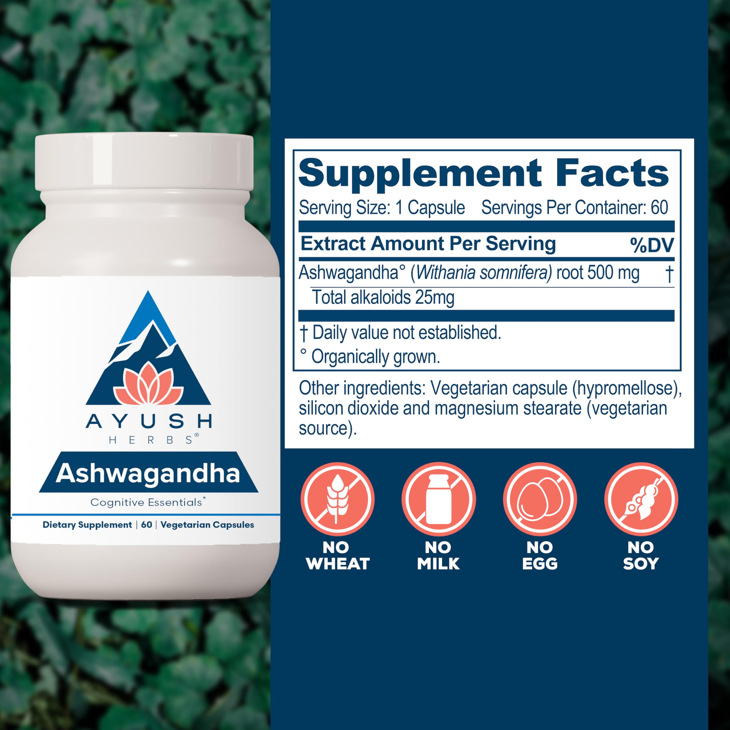 Ayush Herbs Ashwagandha poudre racine — poudre pure pour soutien du calme.