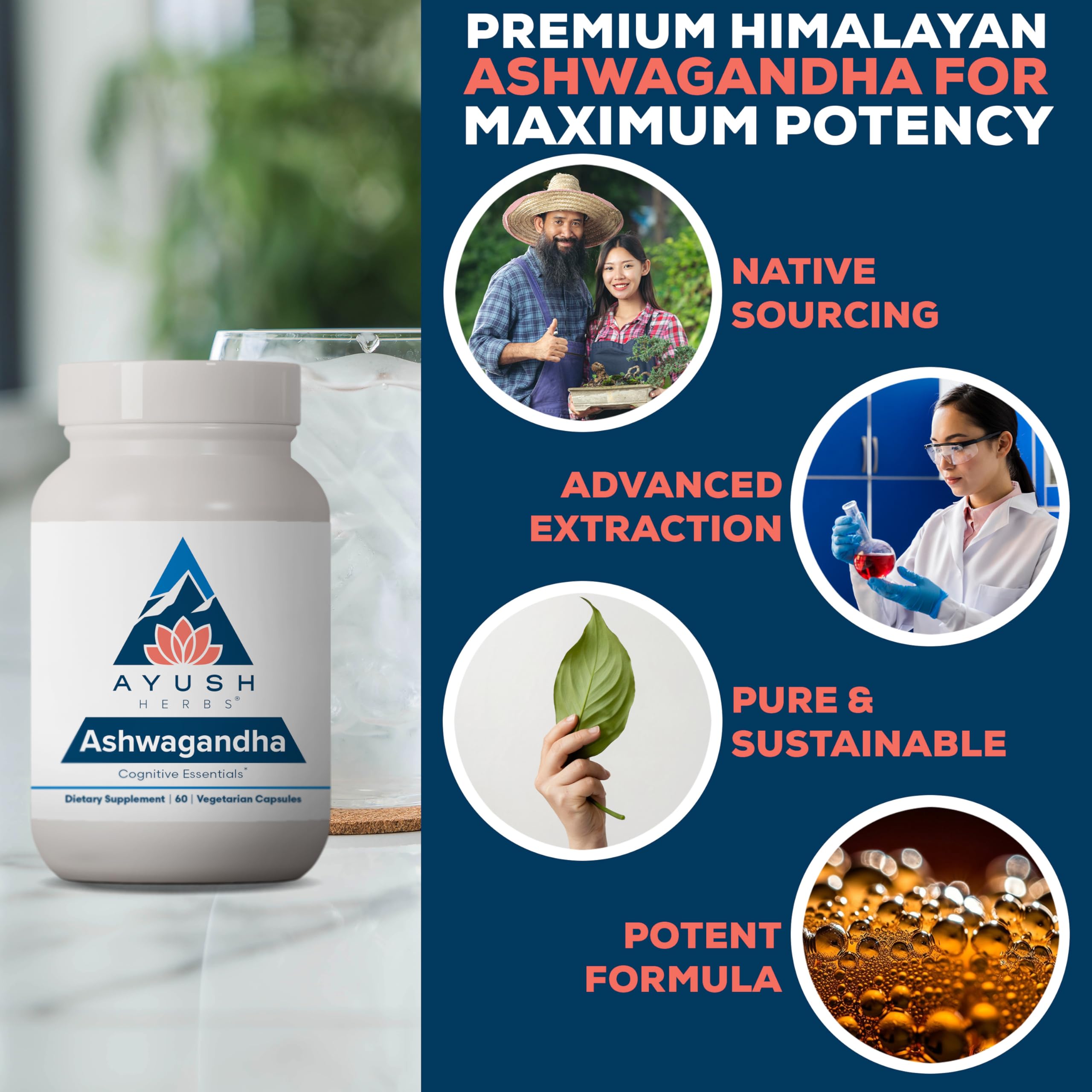 Ayush Herbs Ashwagandha racine Himalaya — racine d'ashwagandha pour pureté et efficacité.