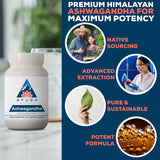 Ayush Herbs Ashwagandha racine Himalaya — racine d'ashwagandha pour pureté et efficacité.