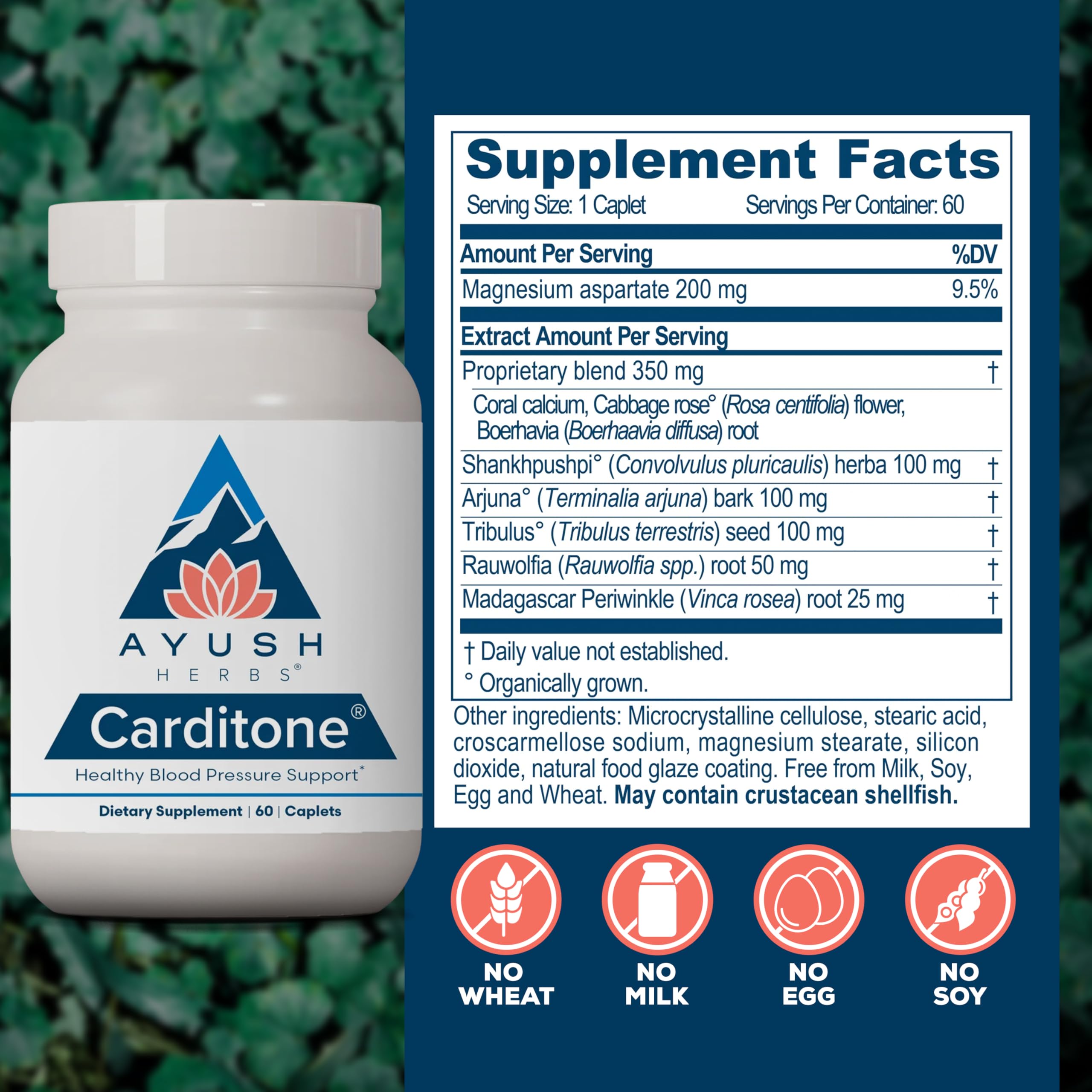 Carditone Ayush Herbs, Arjuna et Rauwolfia: composants clés pour la composition naturelle.