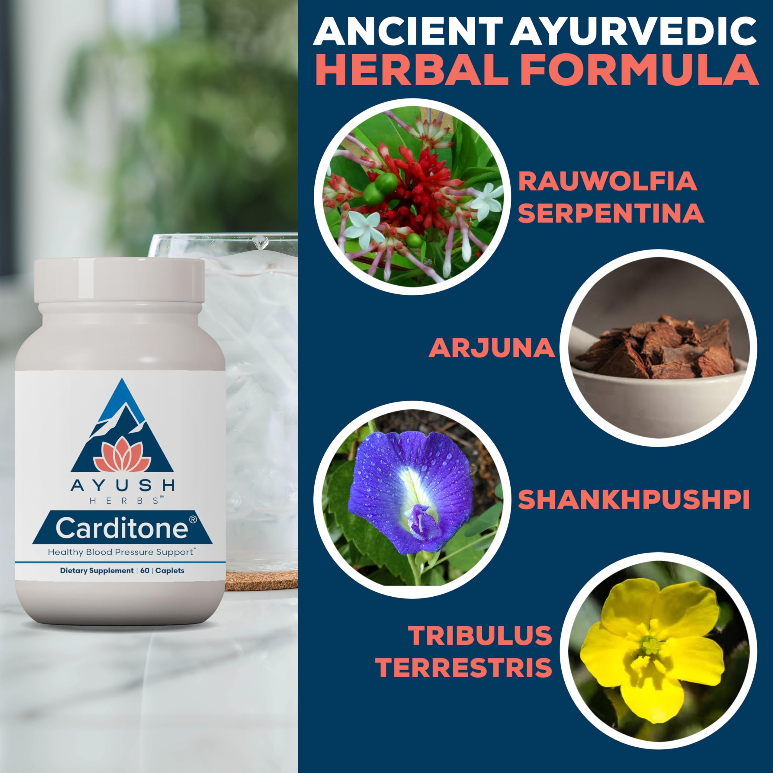 Carditone Ayush Herbs, Shankhpushpi: aide potentielle à la relaxation.