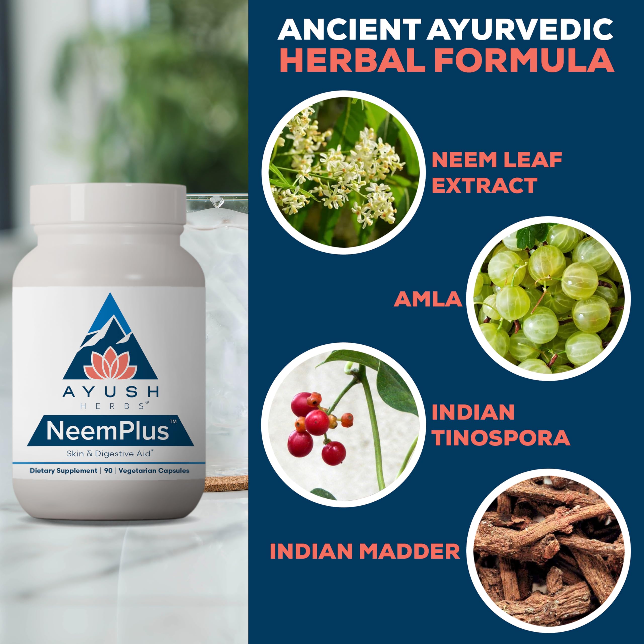 Tableau des ingrédients Neem Plus – neem, amla et antioxydants.