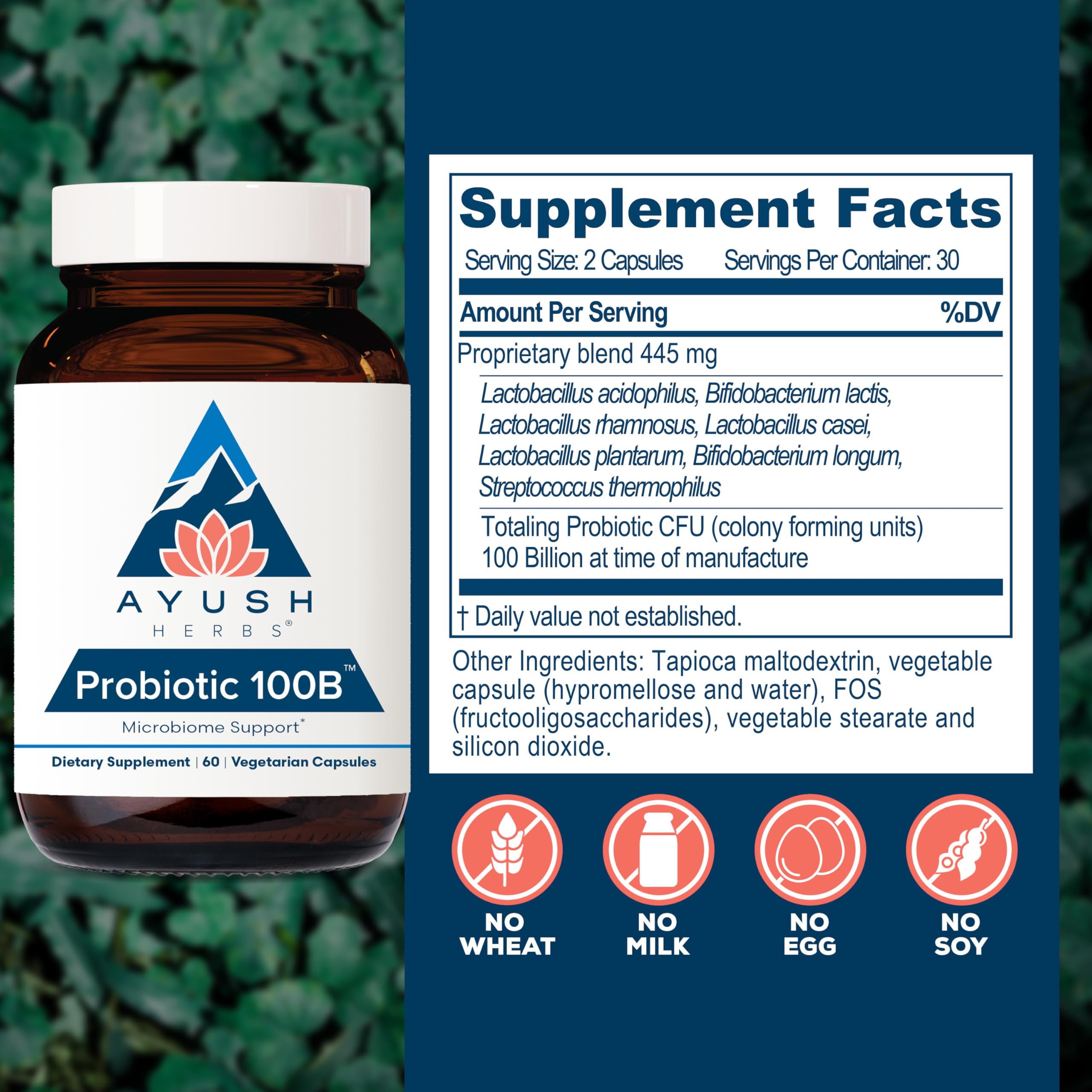 Ayush Herbs Probiotic 100B - étiquette lisible rappelant les bienfaits prébiotiques et probiotiques.