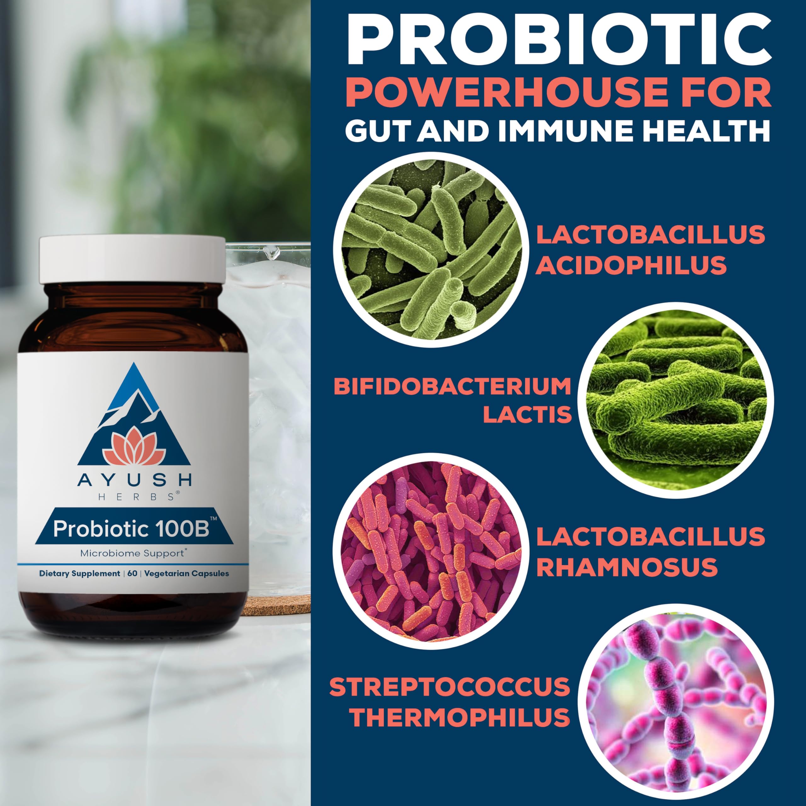 Ayush Herbs Probiotic 100B - infographie sur les prébiotiques et probiotiques pour énergie et bien-être.