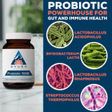 Ayush Herbs Probiotic 100B - infographie sur les prébiotiques et probiotiques pour énergie et bien-être.