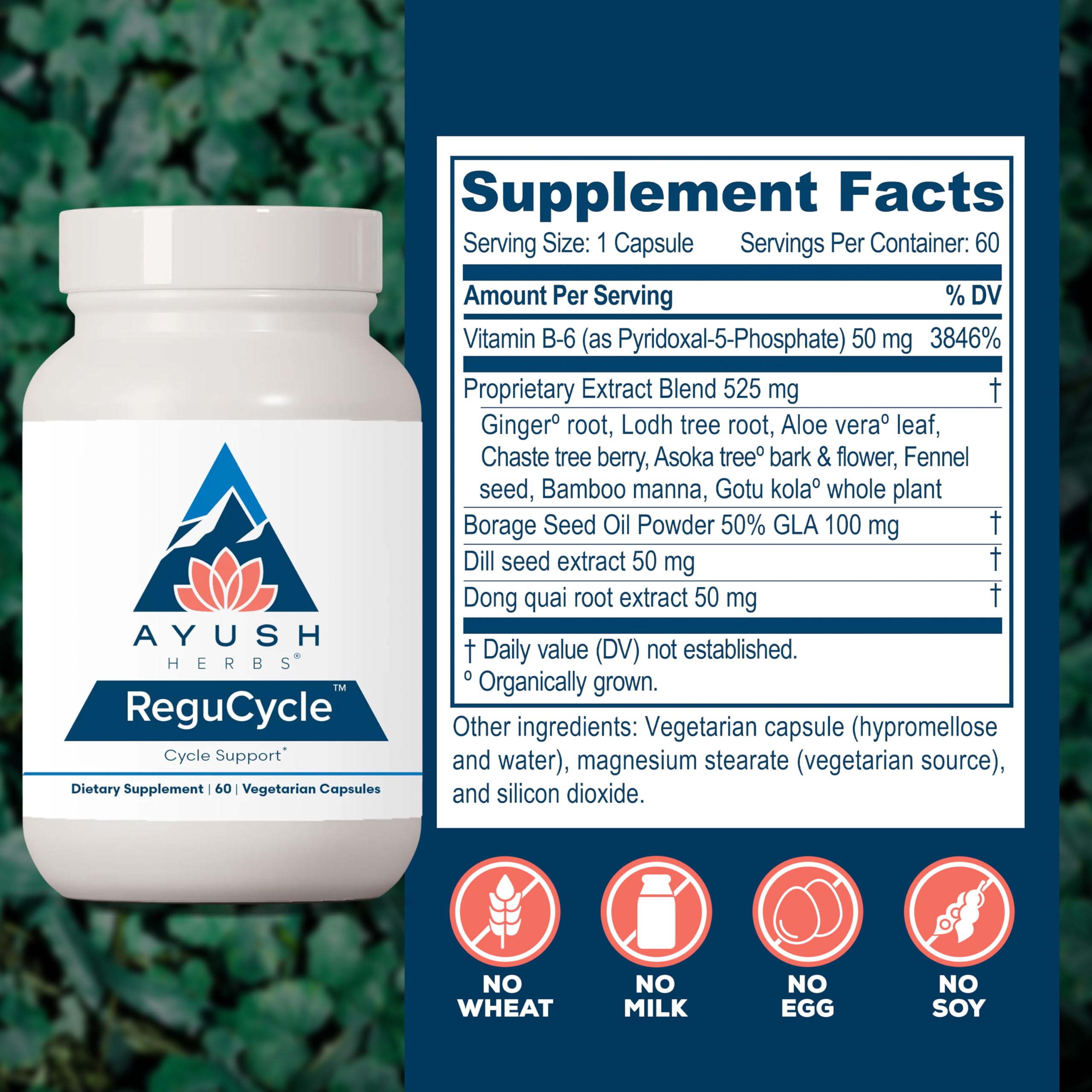 Ayush Herbs Regu-Cycle extrait-graines-d-aneth — ingrédient naturel pour l'équilibre féminin.