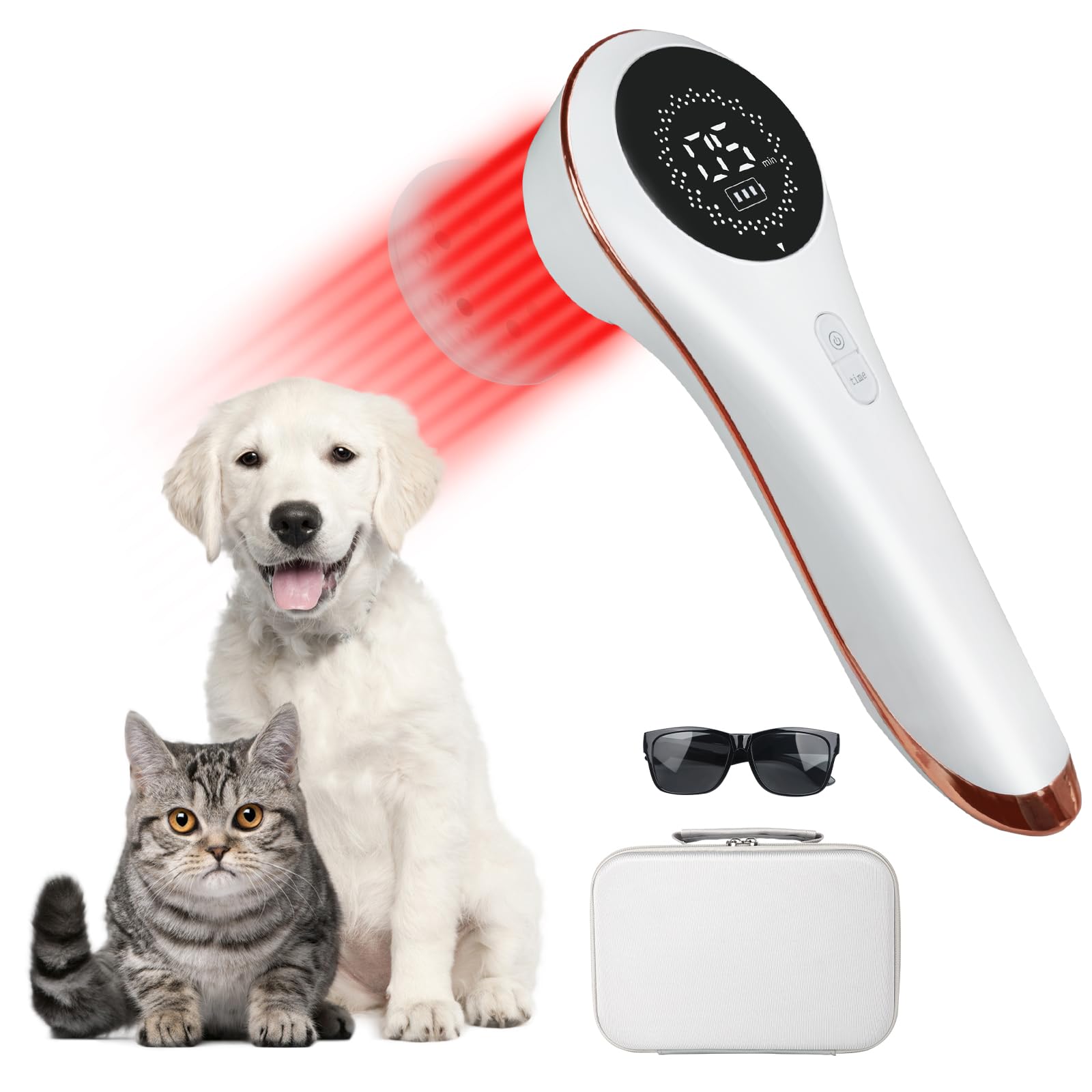Azilaser: appareil laser froid pour animaux, facile à utiliser à domicile.
