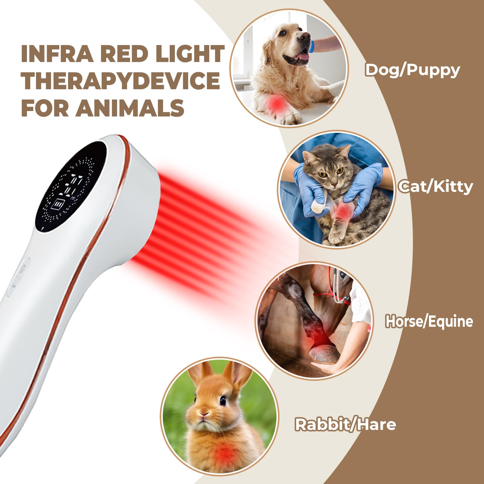 Azilaser laser infrarouge 808nm pénètre le pelage en profondeur pour les soins.
