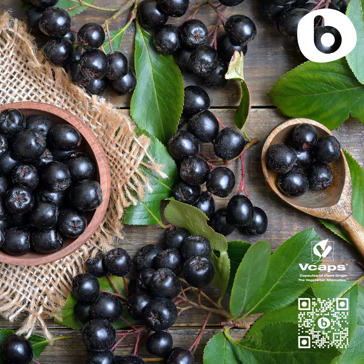 B-aronia sans gluten et non-GMO pour régimes variés.