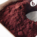 Cuillère-mesure avec poudre d'aronie noire b, dosage facile.