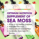 Sureau noir et vitamine C – antioxydants potentiels