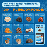 B BEWORTHS Mélange 10 en 1 champignons pour le soutien cognitif naturel.