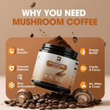 Poudre Chaga et Queue-de-renard par B BEWORTHS, soutien immunitaire naturel