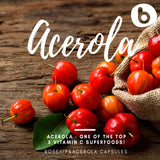 B Natural RoseHips & Acerola – poudre Acerola en pot, riche bioflavonoïdes