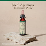Utilisation quotidienne de Bach Agrimony pour soutenir l'expression émotionnelle.