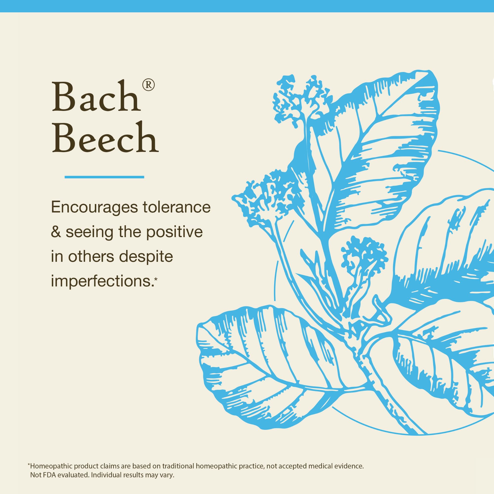 Bach Beech – gouttes sous langue, utilisation simple pour l’équilibre émotionnel.