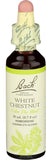 Bach Châtaigne Blanche – bouteille-gouttes favorise la clarté mentale lorsqu’elle est utilisée.