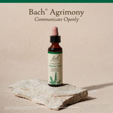 Pack de deux flacons Bach Agrimonie, solution naturelle pour l'équilibre émotionnel.