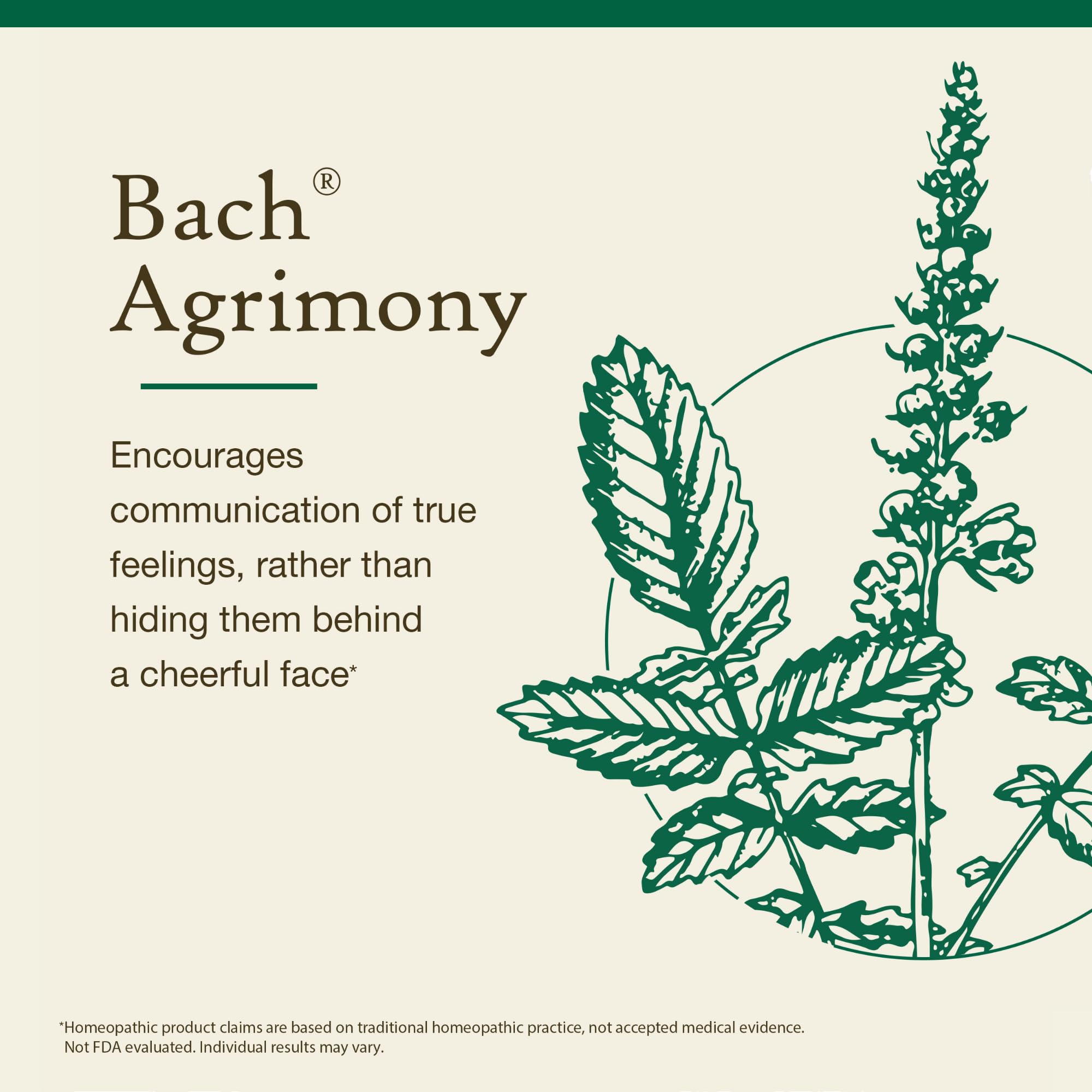 Utilisation Agrimonie Bach dans une boisson pour personnaliser la routine émotionnelle.