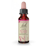 Bach Larch - bouteille 10 ml avec gouttes, favorise la confiance en nouvelles situations.