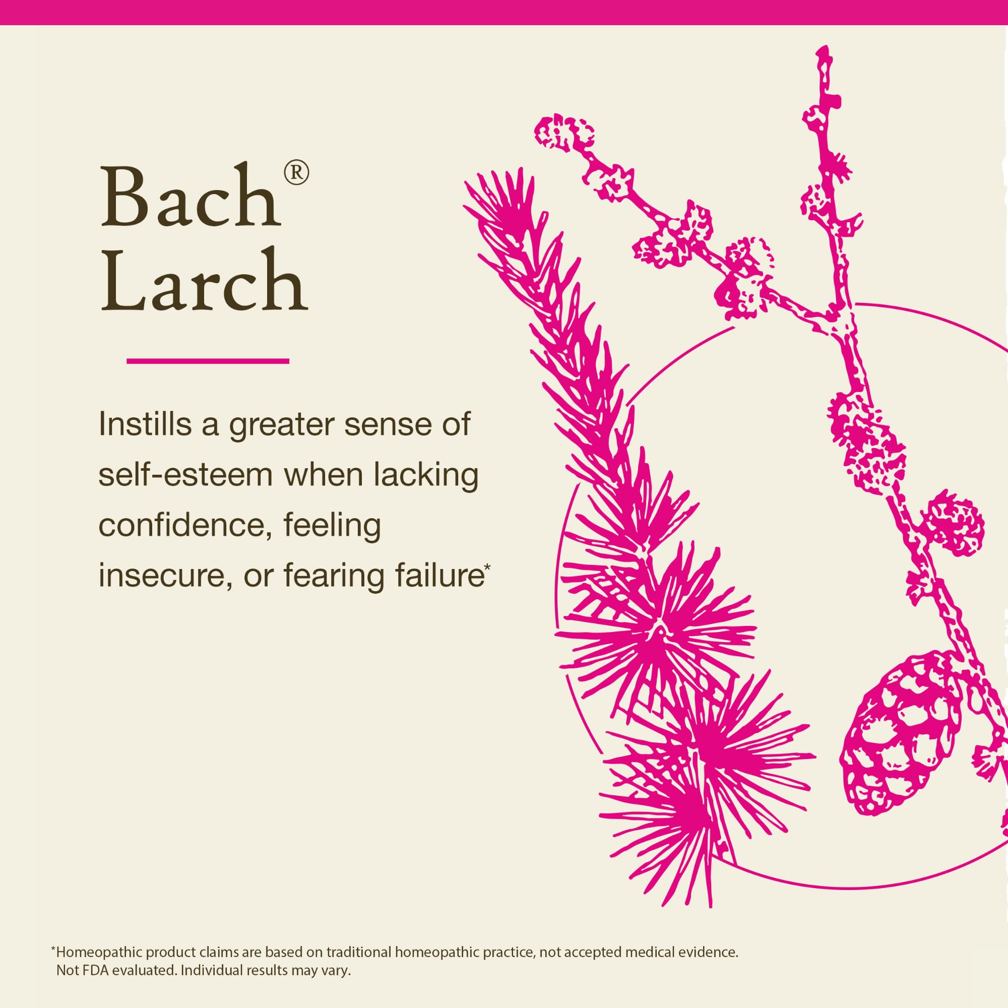 Bach Fleurs Larch – gouttes prêtes à être ajoutées à une boisson.