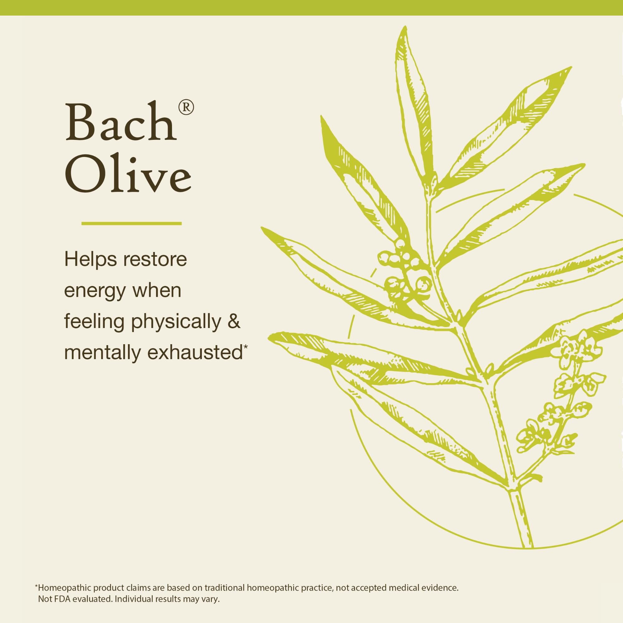 Bach Fleurs Olive, boîte emballage pratique et prête à l’emploi.