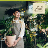 Bach Fleurs Olive, flacon clair montrant les gouttes florales naturelles.