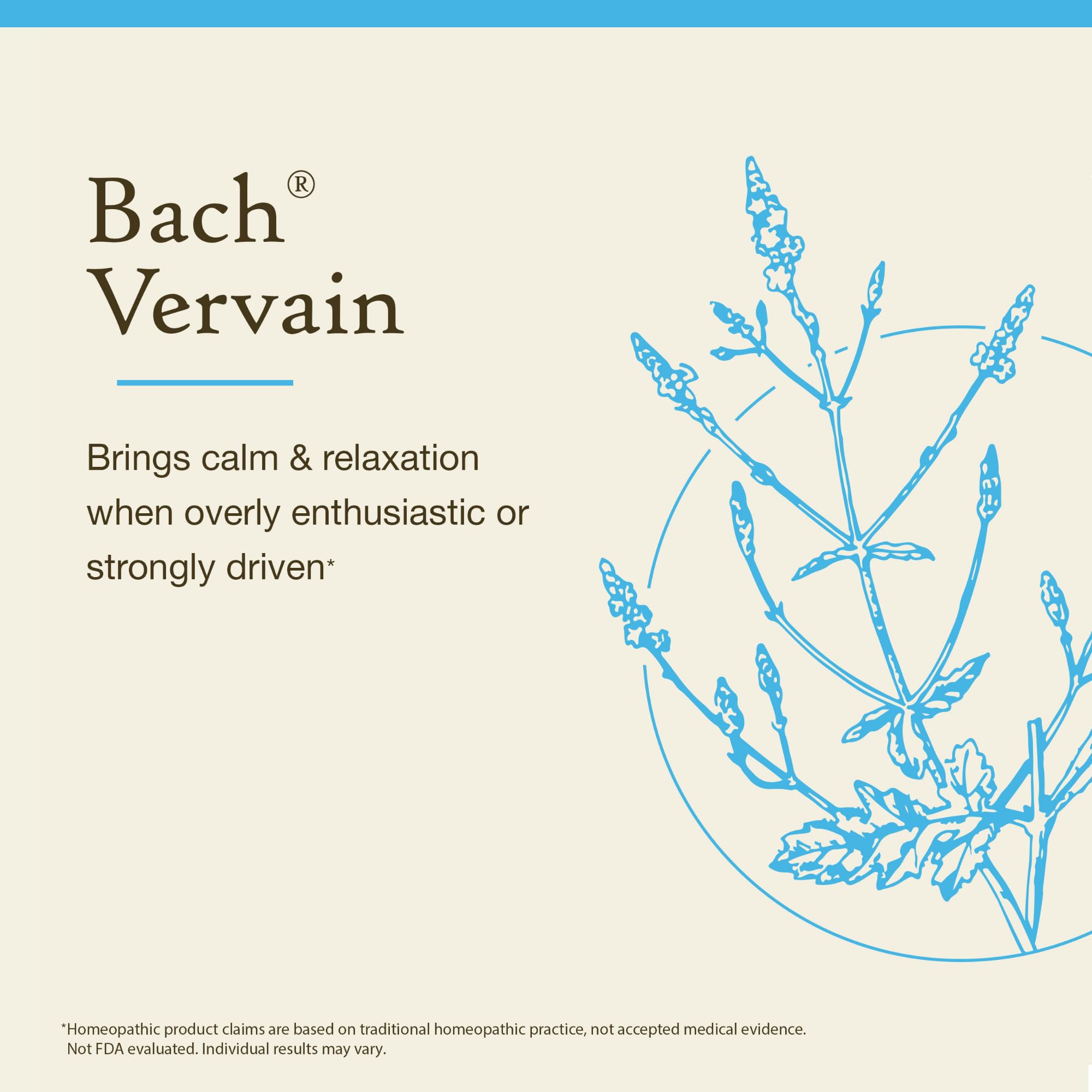 Ingrédients naturels des Remèdes Floraux Bach Vervaine pour un rituel doux.