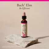 Bach Elm: dilution 5x HPUS, vegan et sans gluten.