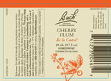 Coffret Bach Remèdes Floraux 2x20 ml – deux flacons vegan et sans additifs.