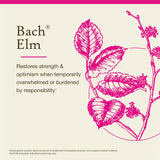 Boite Elm de Bach Flower Remedies, emballage simple et naturel pour usage quotidien.