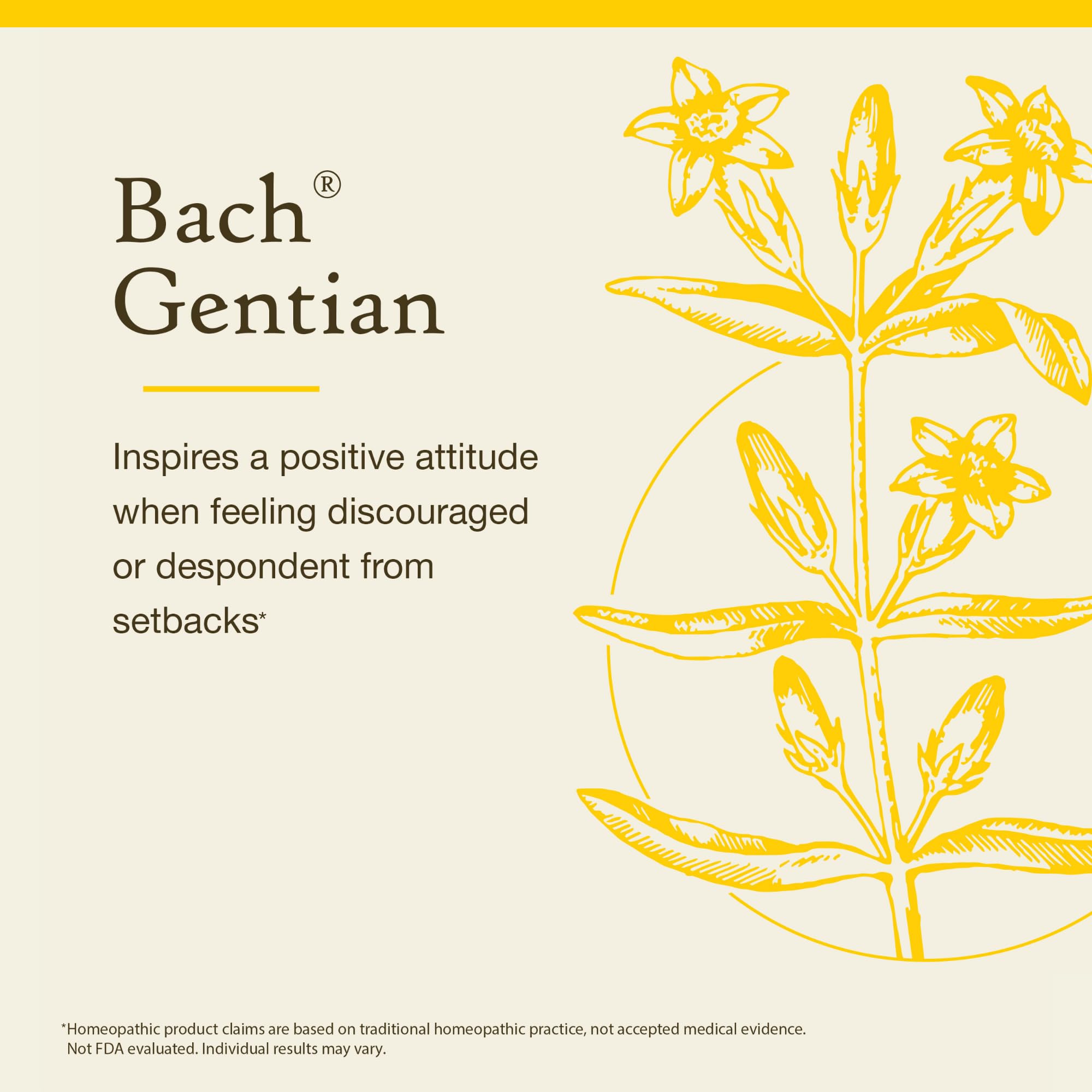 Bach Gentiane – gouttes sous-langue – utilisation simple pour faire face aux revers.