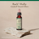 Bach Holly: flacon pratique pour l'équilibre émotionnel quotidien et le bien-être.