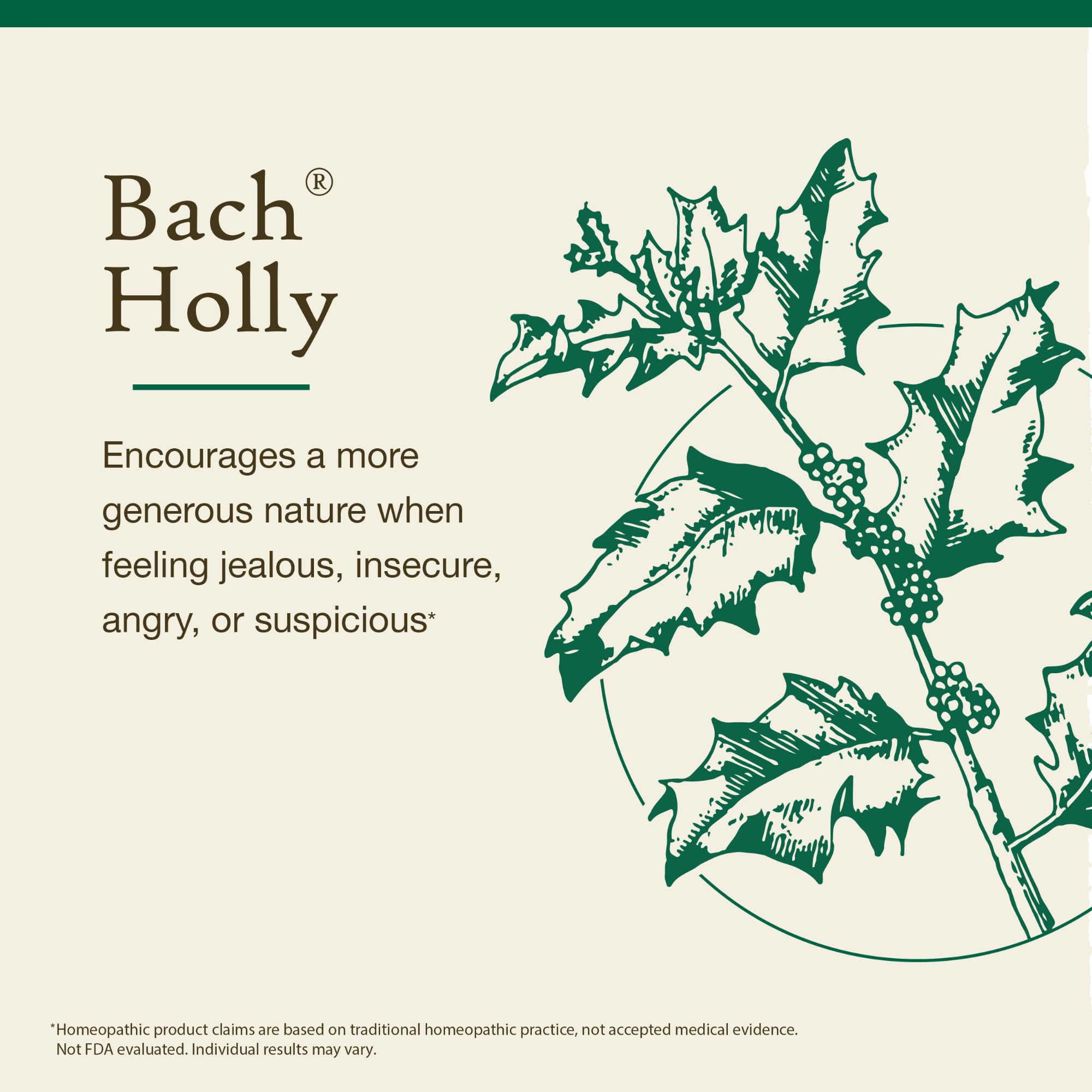 Etui d’emballage Bach Holly met en avant la pureté naturelle.