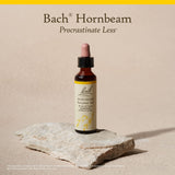 Routine quotidienne avec Hornbeam pour rester focalisé et efficace.
