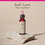Bach Larch - utilisation quotidienne pour renforcer la confiance et la détermination.