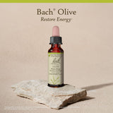 Bach Olive, selon les méthodes originales de Dr Bach, confiance durable dans l'approche florale.