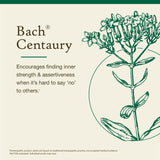 Bach Original Centaury – Étui d’emballage pratique et élégant