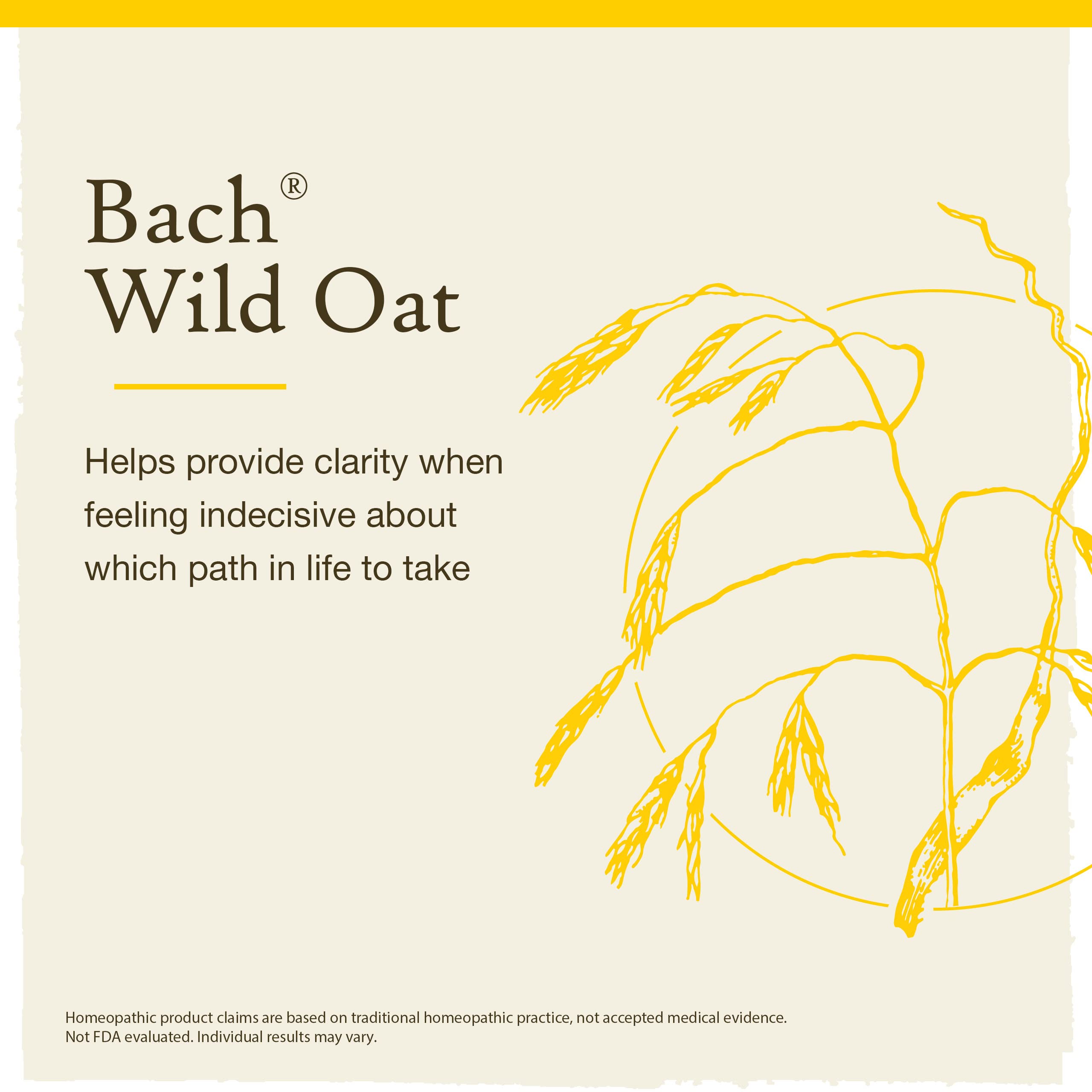 Bach Avoine Sauvage – étui pratique pour une routine quotidienne