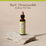 Bach Original Chevrefeuille – arôme floral léger pour un moment de calme