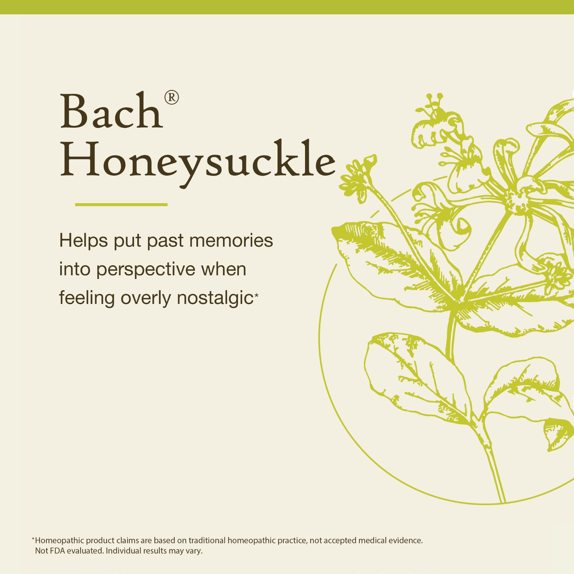 Bach Original Chevrefeuille – flacon 20ml compact facilitant le voyage