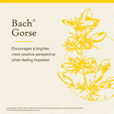 Bach Original Flower Remedies Gorse – Pipette facilitant le dosage précis pour chaque usage.