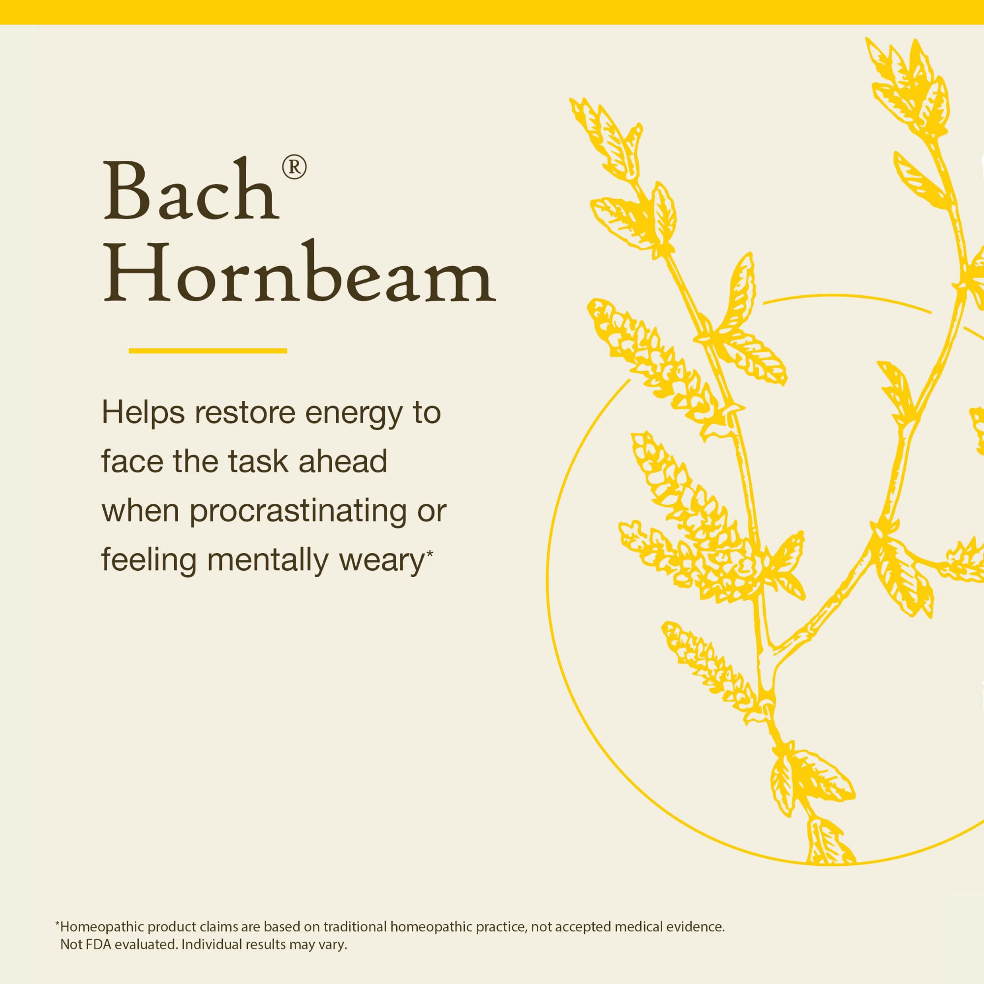 Rituel quotidien avec Bach Original Hornbeam et pipette, pour démarrer la journée.