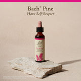 Bach Pine – emballage et présentation du produit.